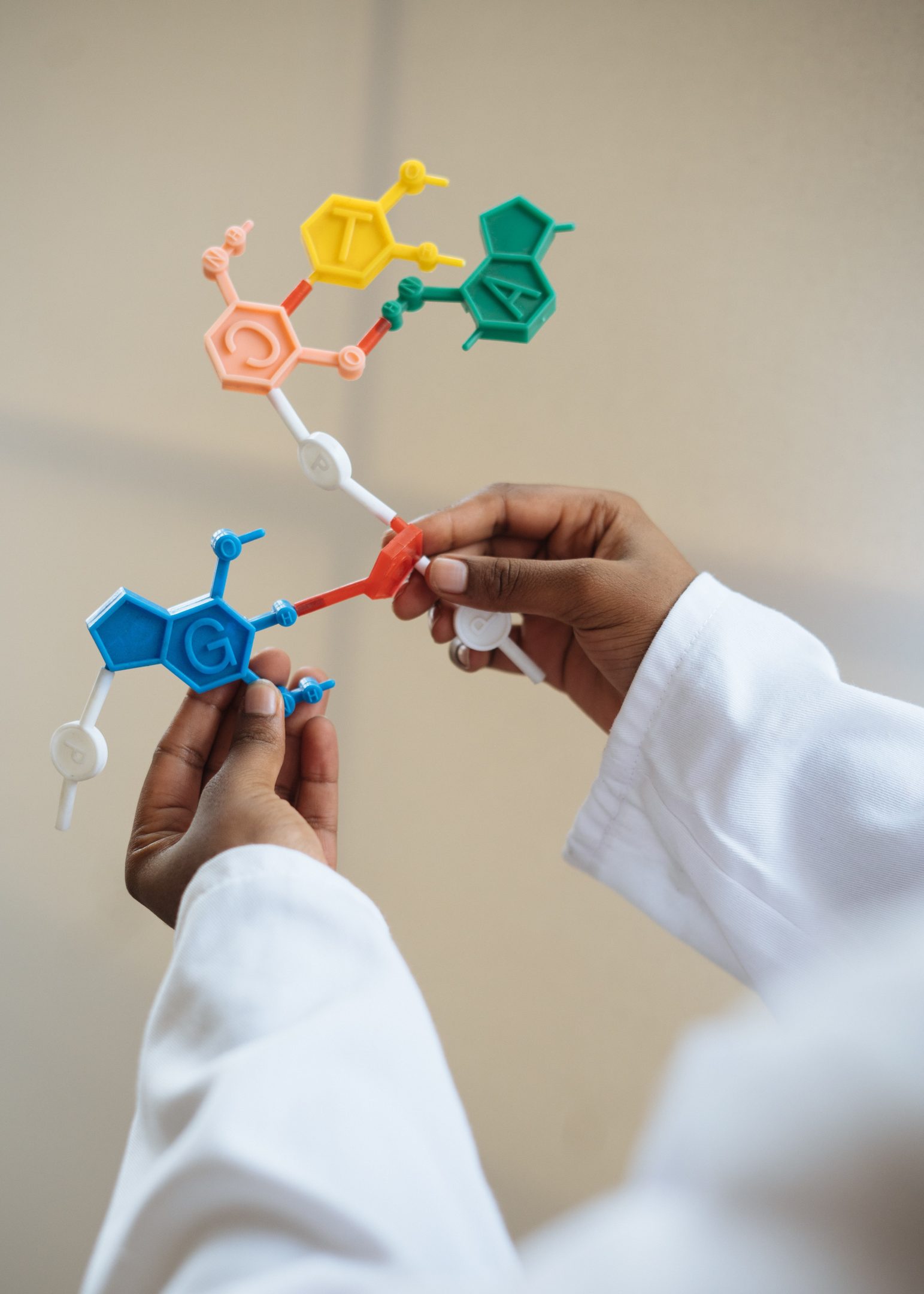 Science Fair at Brooklyn Seventh-day Adventist School